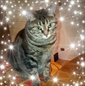 Meet your Posher, Pamela